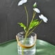 thumbnail image 4 of Portable Plastic Mini Ice Bucket For Home Use - Beer Wine - Transparent For Picnics Parties - High-End Looking Beverage Storage Solution, 4 of 6
