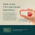 thumbnail image 4 of Gaia Herbs Reishi Mushroom - Traditionally Used to Support a Healthy Immune System & Heart Health - Adaptogen Herbal Supplement for Longevity Support* - 40 Vegan Capsules (40 Servings), 4 of 9