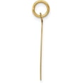 thumbnail image 2 of 14k Yellow Gold LAS VEGAS Disc Charm - 25.5mm, 2 of 6