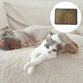 thumbnail image 3 of Almohadilla autocalentable para perros y gatos, práctica en otoño e invierno, 3 of 5