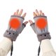thumbnail image 1 of Usb Para Hombres Y Mujeres, Guantes Cálidos De Invierno Para Ordenador Portátil, Guantes Calefactables Sin Dedos Con Forro Polar, Calentador De Manos, Diseño Lavable Minnieouse HA046739-06, 1 of 6
