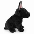 View all media