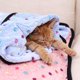 thumbnail image 2 of Manta suave y esponjosa para mascotas, con bonito patrón de lunares, manta cálida y acogedora para gatos, perros, camas pequeñas y grandes, funda para alfombrilla, suministros para mascotas, 2 of 5