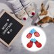 thumbnail image 5 of 4 Uds. Calcetines navideños para mascotas, algodón, gatos, perros, calcetín cálido, accesorio (Big Red L) Tmvgtek Para estrenar, 5 of 8