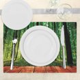 thumbnail image 3 of Ambesonne Nature Place Mats Set of 4, Sunlight Forest Trees, Standard Size, Green Brown, 3 of 6