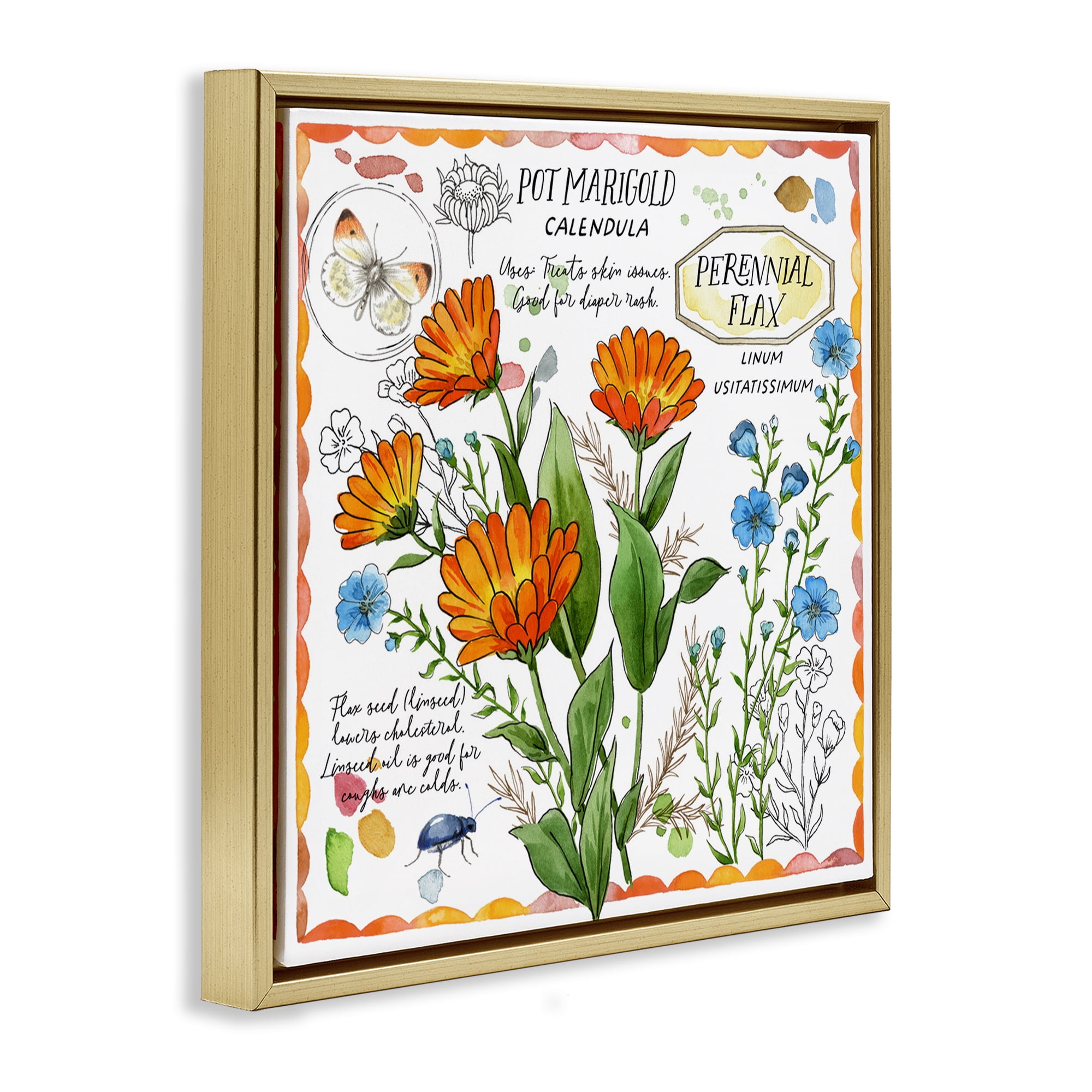 Stupell Industries Country Herb Uses Plants & Flowers Painting Gold Floater Framed Canvas Art Print Wall Art, 25 x 25