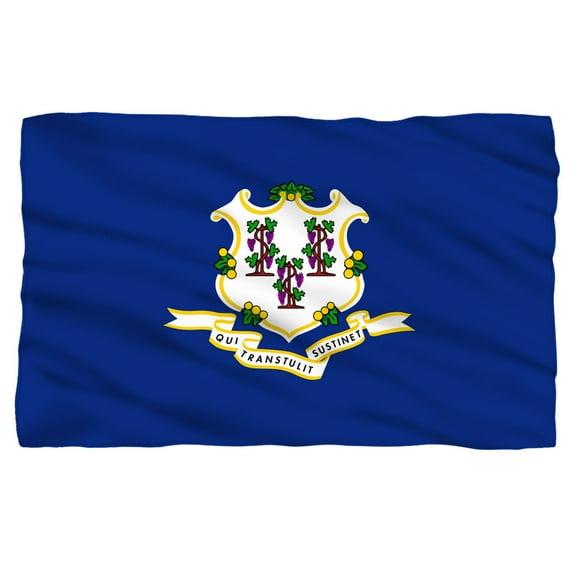 Trevco Connecticut Flag Fleece Blanket (36x58)