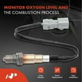 thumbnail image 2 of A-Premium O2 Oxygen Sensor Replacement for Lexus RX350 07-13 LS460 RX330 Scion IQ TC XB Toyota Highlander Camry Sienna Solara Downstream, 2 of 9
