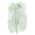 thumbnail image 2 of Vess, June Erica 12x18 Gold Ornate Wood Framed with Double Matting Museum Art Print Titled - Stone Flower Study I, 2 of 4