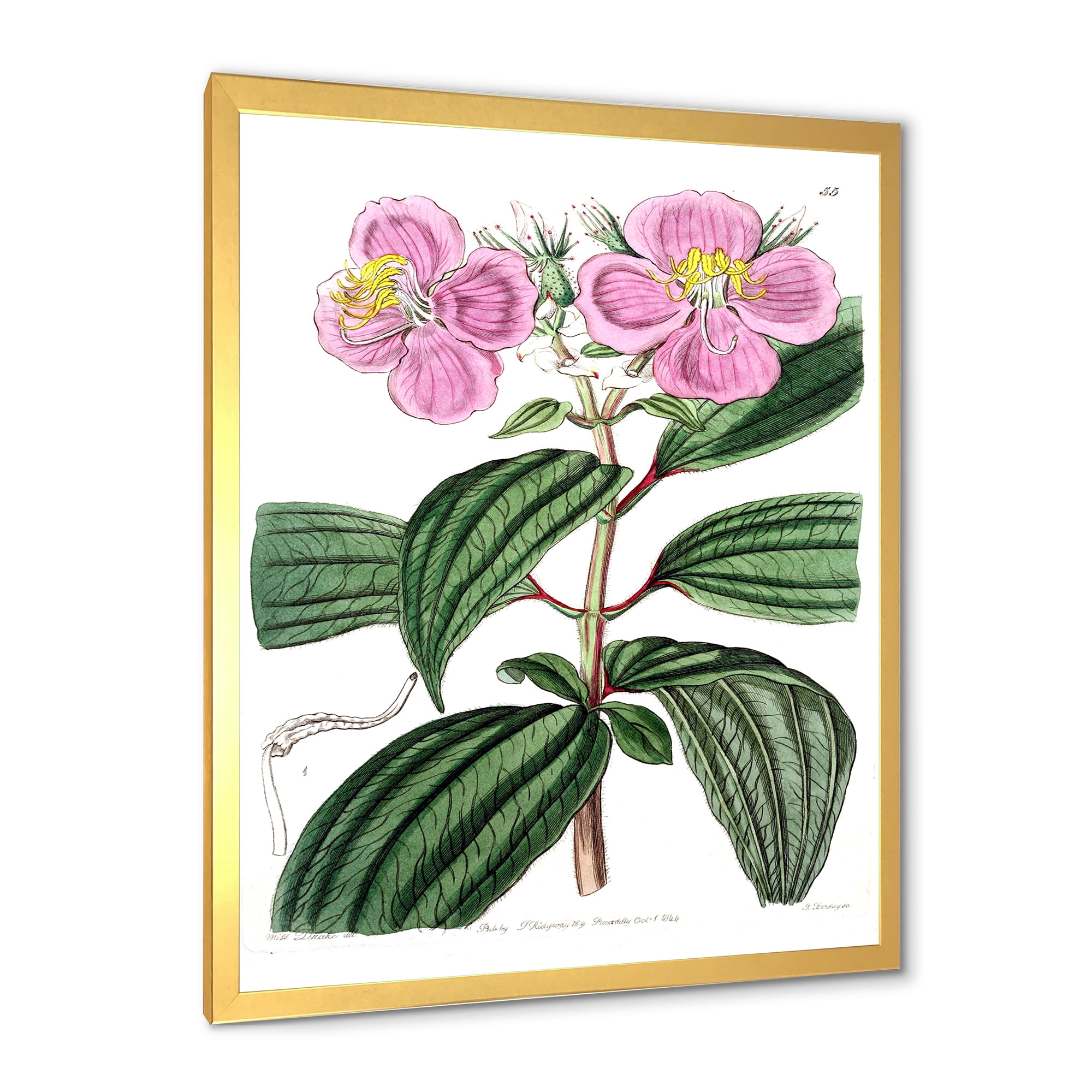 Designart 'Ancient Plant Life XXIII' Traditional Framed Art Print