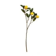 Napa Home & Garden Lemon Branch 29.5"