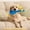 Dark Blue, variant on Rubber Chick Squeaky Play Ball for Dogs, Cute Chicken Shape Fetch T-oys for Small Medium and Large Dogs, Interactive Squeaker for Separation Anxiety Relief, Durable Chew Item