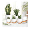 thumbnail image 3 of 7 Pcs Macetas De Plástico Con Riego Automático Para Plantas Malubero BLANCO CAFE, 3 of 5