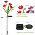 thumbnail image 3 of Spencer 2 Pack Outdoor Solar Garden Stake Lights Solar Powered Lights with 8 Lily Flowers, 7 Color Changing LED Solar Garden Lights for Patio, Yard, Lawn, Pathway (Red), 3 of 11