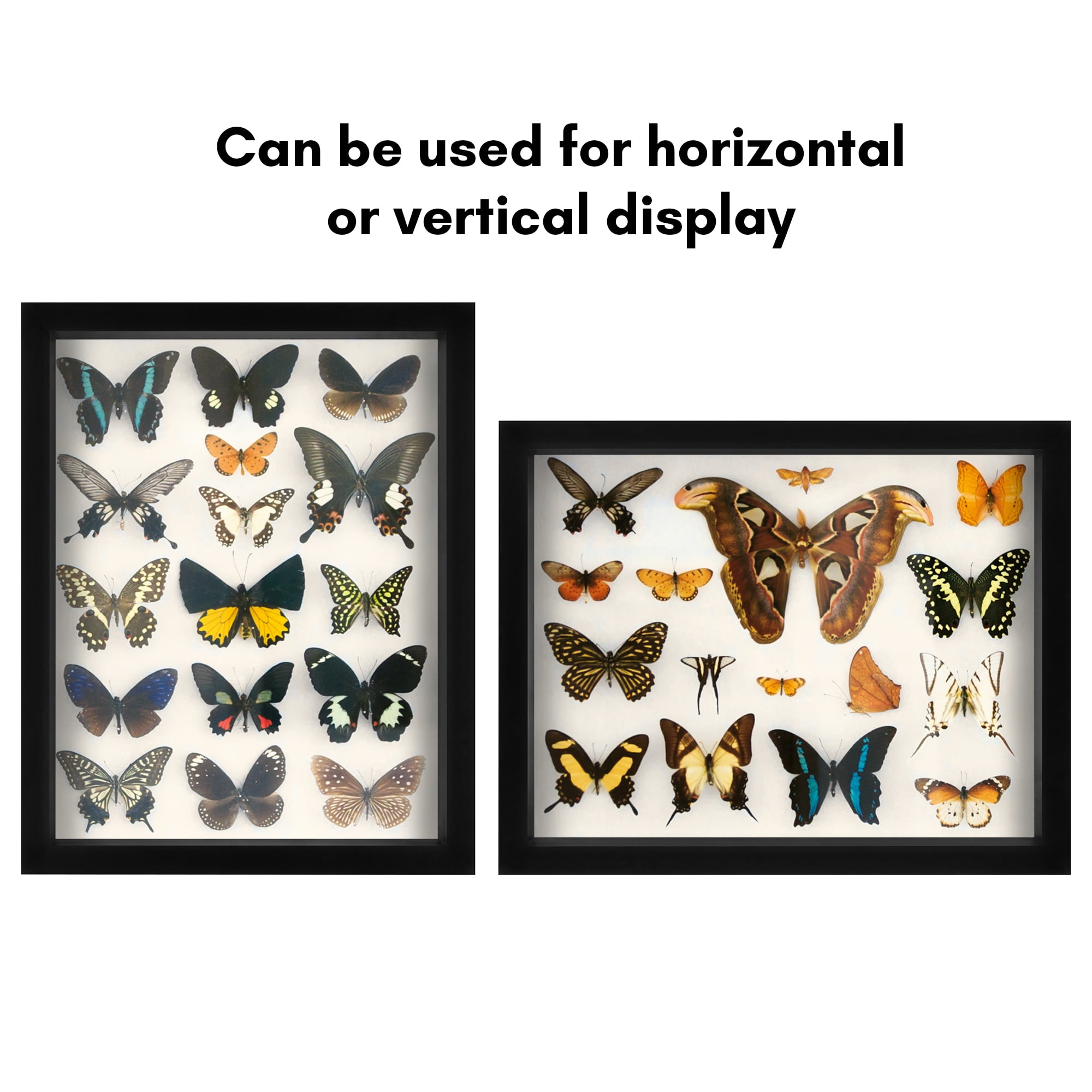 Americanflat 11x14 Shadow Box Frame with Shatter-Resistant Glass Silhouette Collection Large Display - Black
