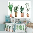 thumbnail image 2 of Designart ' Duo of Potted Flowers House Plants In Claypots ' Farmhouse Canvas Wall Art Print, 2 of 4