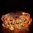 thumbnail image 3 of Decoración de Halloween, guirnalda de calabaza naranja con pilas de 20 luces LED para exteriores para decoración de Halloween, 3 of 5