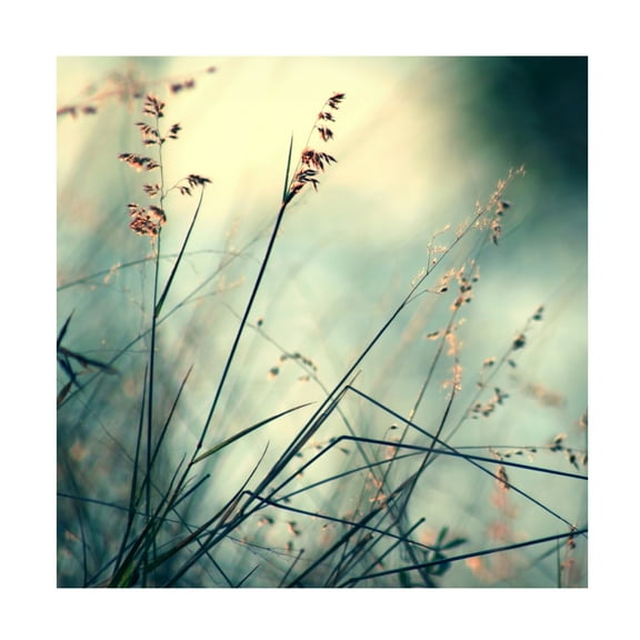 Trademark Fine Art "About Hope" Canvas Art by Beata Czyzowska Young