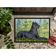 thumbnail image 3 of Carolines Treasures SS8682JMAT 24 x 36 in. Cane Corso Doormat, 3 of 4