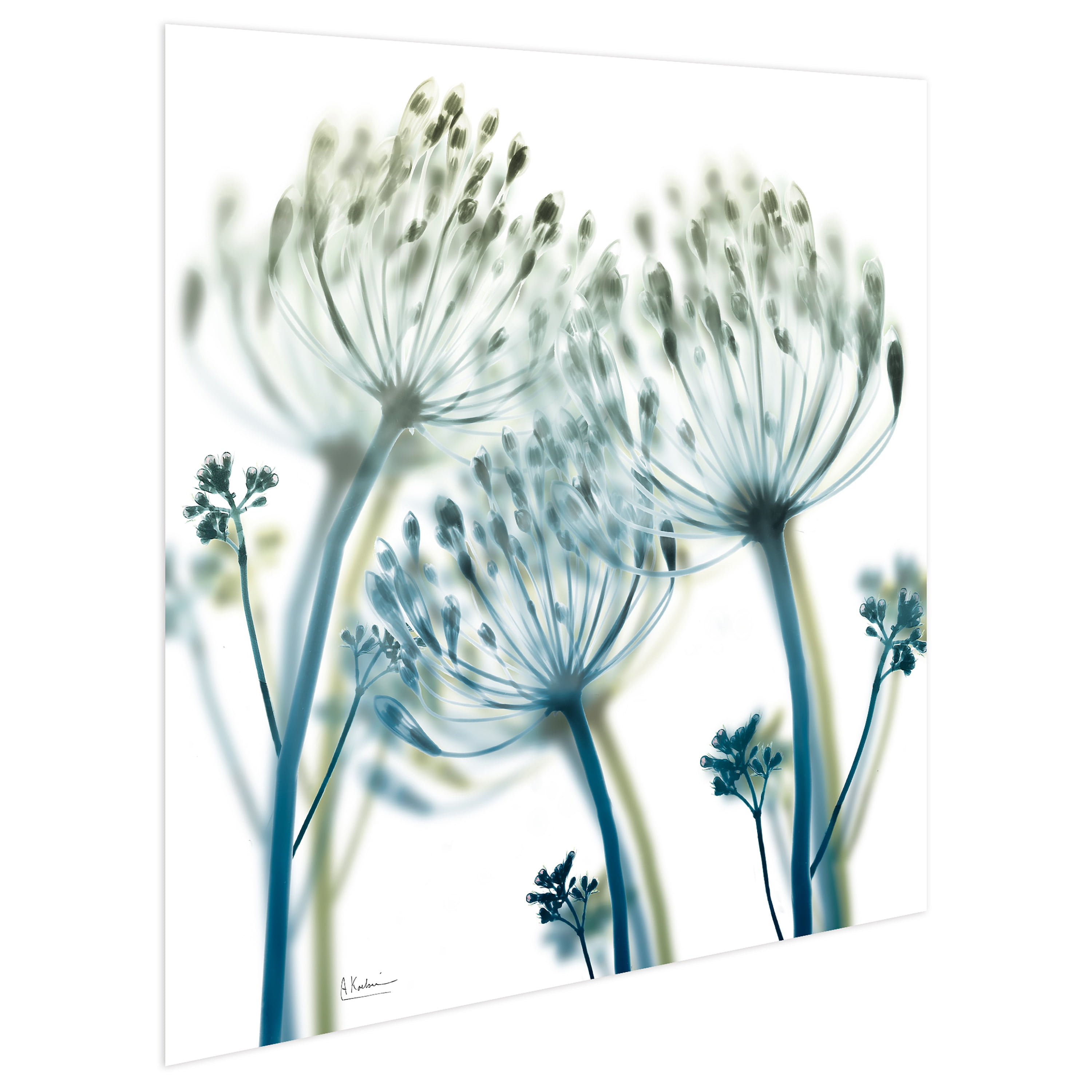 Unfocused Beauty 2 Frameless Free Floating 24 in x 24 in Photography Art Prints, by Empire Art