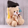thumbnail image 3 of Oso Osito De Peluche Teo Graduado Premium Pelucheria Color Beige, 3 of 5