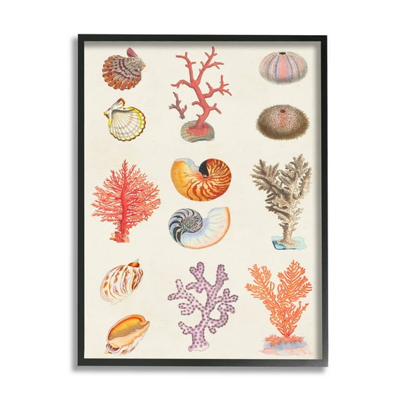 Stupell Industries Various Sea Life Nautical Latin Study Graphic Art Black Framed Art Print Wall Art, Design by Vision Studio