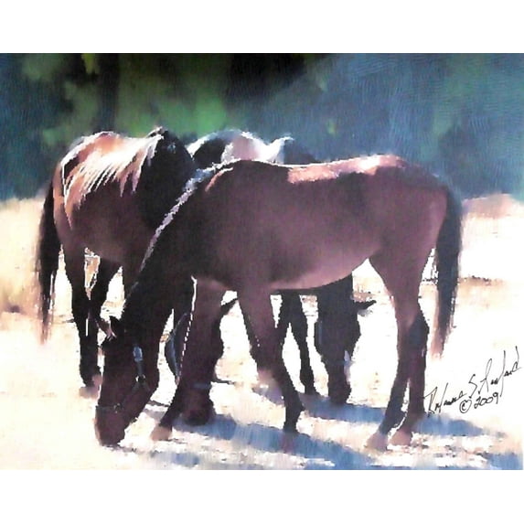 Tymeless Wonders Mustangs - II Wall Decal