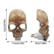thumbnail image 5 of Skull Night Light Gothic Candles Lamp Decor Candle Lanterns Gifts Led Light Up Halloween Candle Lantern Human Skull Handmade Light Bar Decor, 5 of 5