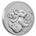 thumbnail image 3 of 2023 Australia 1/10 oz Platinum Koala BU, 3 of 3