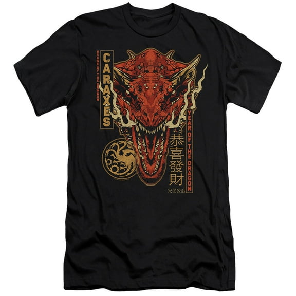 House of the Dragon Targaryen Year of the Dragon Unisex Adult Canvas Brand T Shirt ,Black, Large