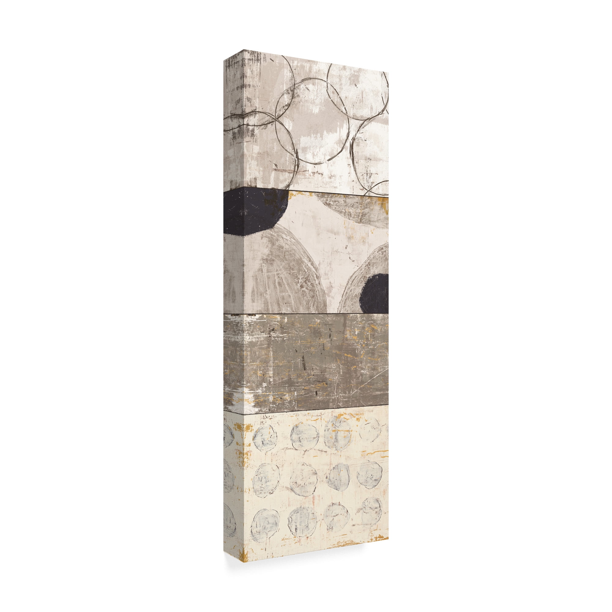 Trademark Fine Art 'Scorched Earth III' Canvas Art by Michael Mullan