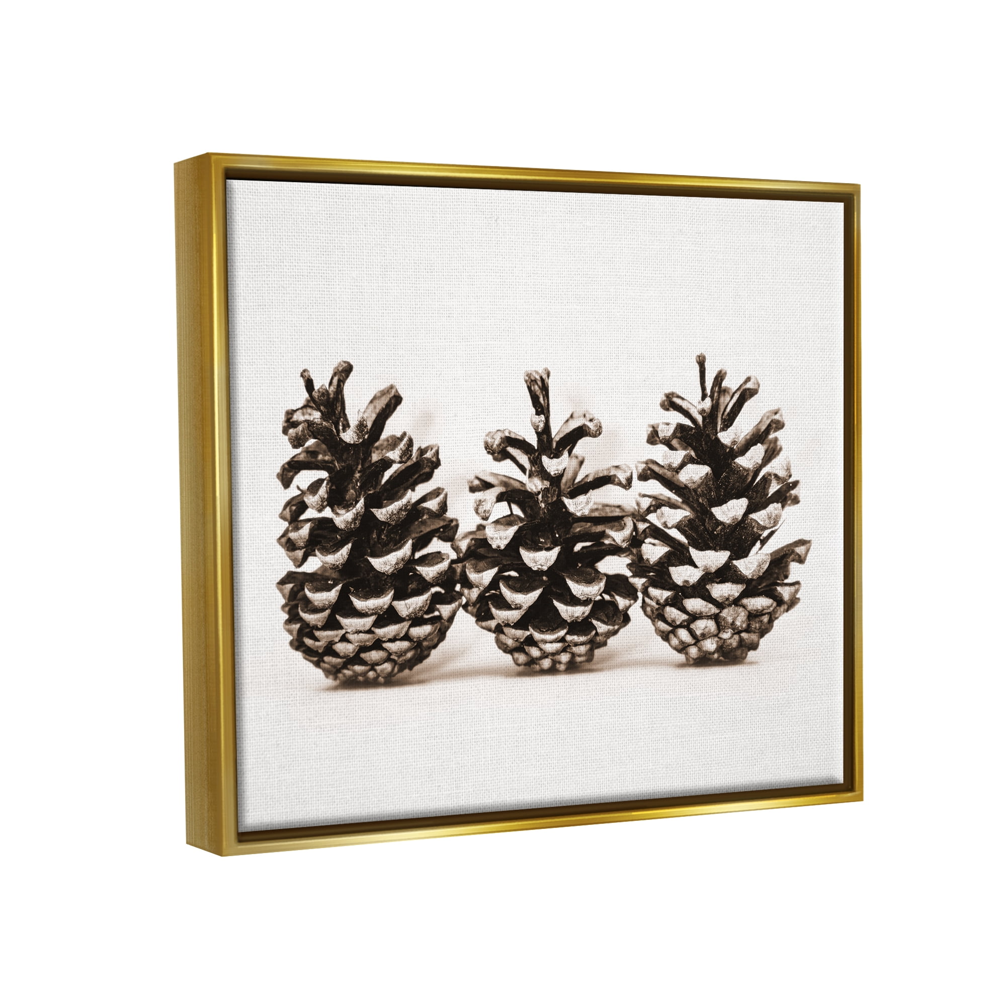 Stupell Industries Three Pinecones Nature Botanical & Floral Photography Gold Floater Framed Art Print Wall Art, 31 x 25