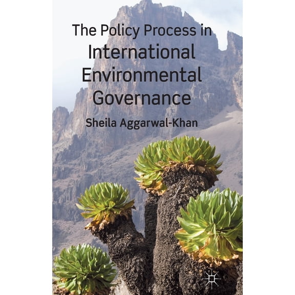The Policy Process in International Environmental Governance, (Paperback)