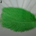 thumbnail image 7 of Walbest 15 Pcs Natural Ostrich Feathers Colored Soft Feather for Clothes Wedding Decor, 7 of 7