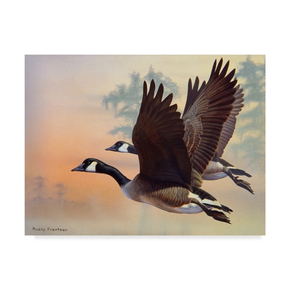 Trademark Fine Art 'Canada Geese' Canvas Art by Rusty Frentner