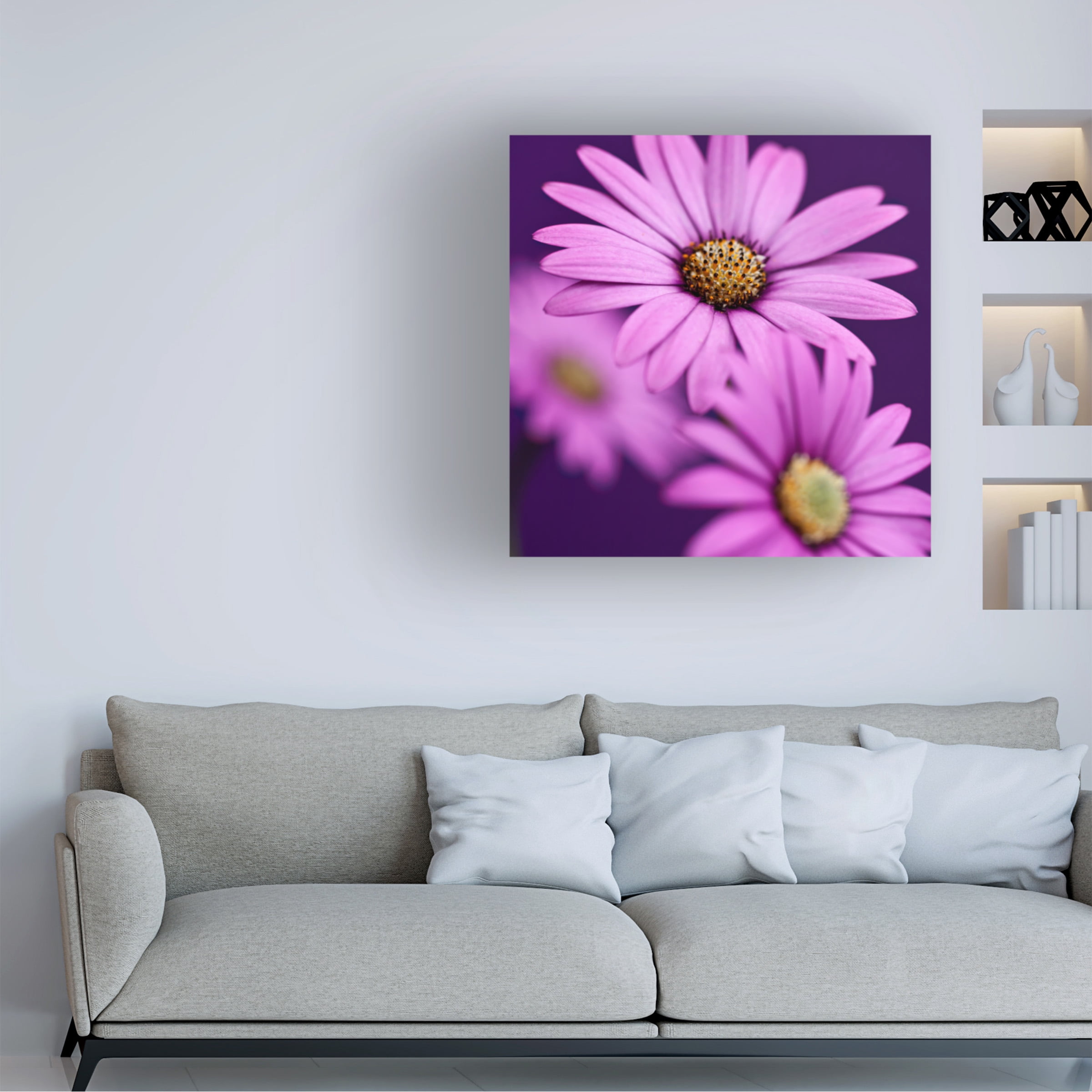 Symposium Design 'Plum Daises III' Canvas Art
