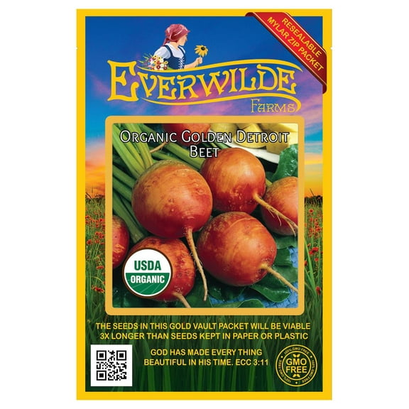 Everwilde Farms - 100 Organic Golden Detroit Beet Seeds - Gold Vault Jumbo Bulk Seed Packet