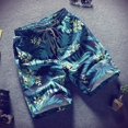 thumbnail image 1 of Pantalones cortos de tabla para hombre, traje de baño de secado rápido, fiesta de vacaciones en la playa, Bermudas, pantalones grandes de natación Sailing Electrónica, 1 of 5