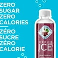 thumbnail image 2 of Sparkling Ice Black Cherry Sparkling Water 503ML, 2 of 6