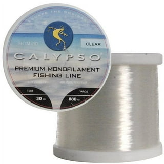 BLUEWING Monofilament Fishing Line Clear Fishing String Mono Fishing Line,  Dia.0.55mm*500YD*40LB 