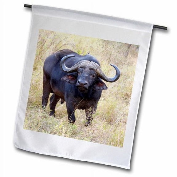 3dRose, South Africa, Zulu Nyala GR, Cape Buffalo-AF42 LEN0176 - Lisa S. Engelbrecht, 18 x 27 inch Garden Flag