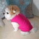 thumbnail image 5 of Polar Fleece Pet Chaleco Perro Invierno Cálido Chaqueta Cachorros Pullover (Rose Red M) JShteea Libre de BPA, 5 of 7