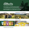 thumbnail image 5 of Ricola Berry Medley Oral Anesthetic, 19 Drops per Bag, 4-Pack Bundle, 5 of 7