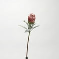 thumbnail image 6 of D&W Silks - White Large Protea Flower Stem - Set of 3, 6 of 9