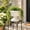 White, variant on YHAICO Large Wood Effect Plastic Planter - Brown Flower Pot with Tray for Patio Decor, Deep Planting Container for Outdoor Balcony Garden, Home & Office Plants