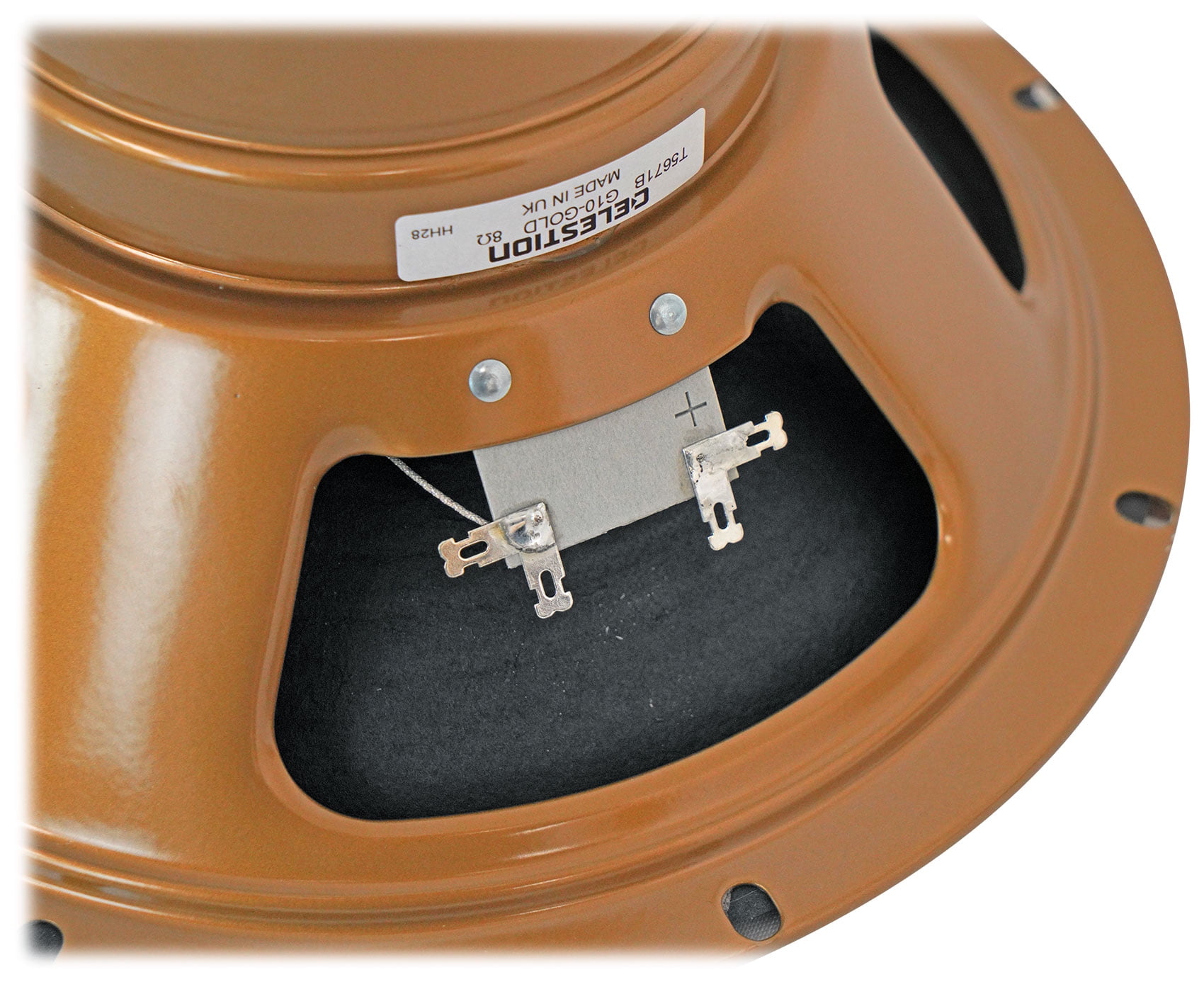 Celestion G10 Gold 40W 10" Alnico Magnet Guitar Speaker 8 Ohm+Bluetooth Speakers