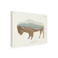 thumbnail image 2 of Wild Apple Portfolio 'BBB Sales Only- American Southwest Buffalo Crop' Outdoor Canvas, 2 of 3