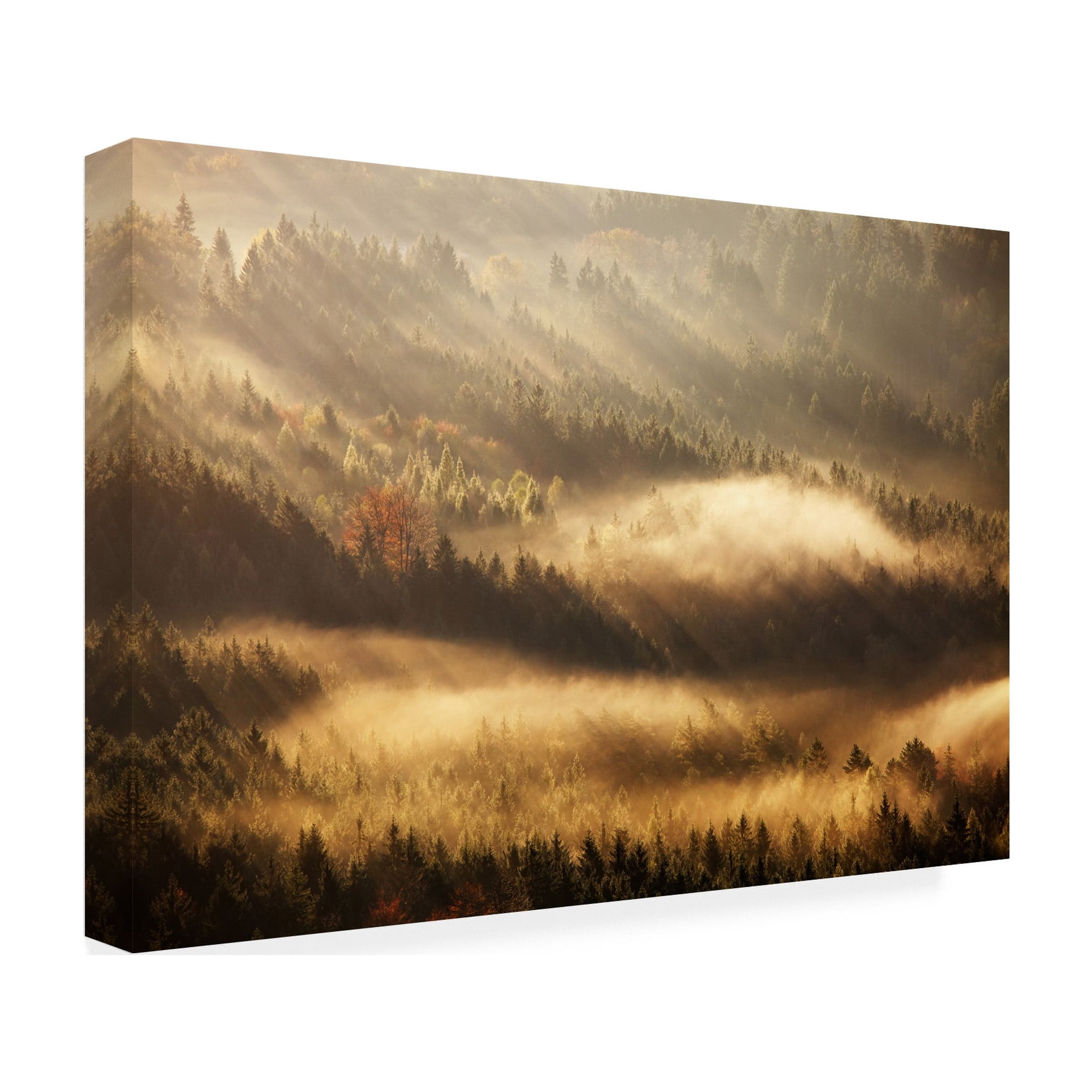 Martin Rak 'Autumn Rays' Canvas Art