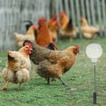 thumbnail image 4 of HAMPPLIES 4Ud Bola Dispensadora De Para Gallinas Con Alimentación Y Soporte Metálico Para Patio, 4 of 8