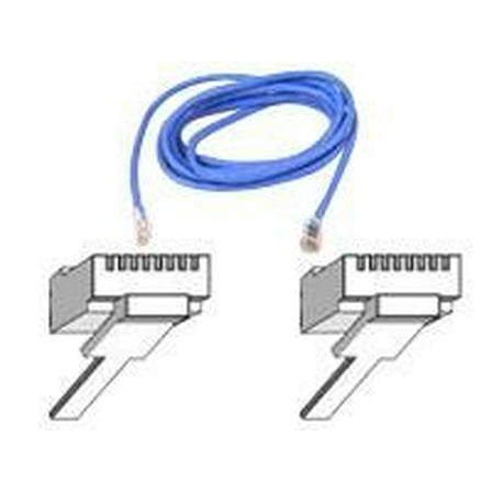Belkin - Patch cable - RJ-45 (M) to RJ-45 (M) - 1.6 ft - UTP - CAT 5e - blue - for Omniview SMB 1x16, SMB 1x8; OmniView SMB CAT5 KVM Switch